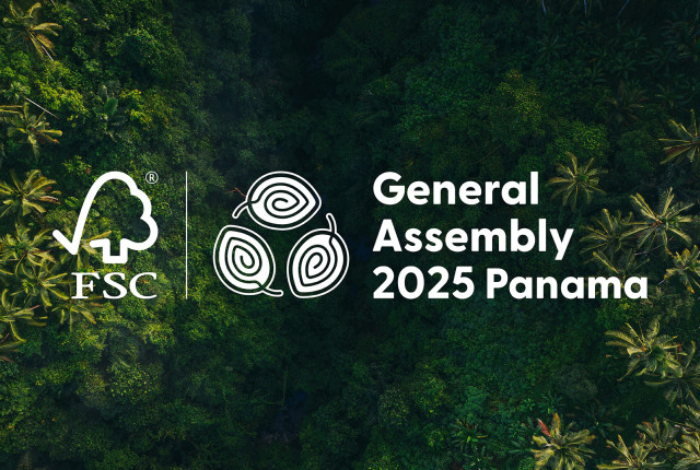 FSC20Branding20Presentation 01 1