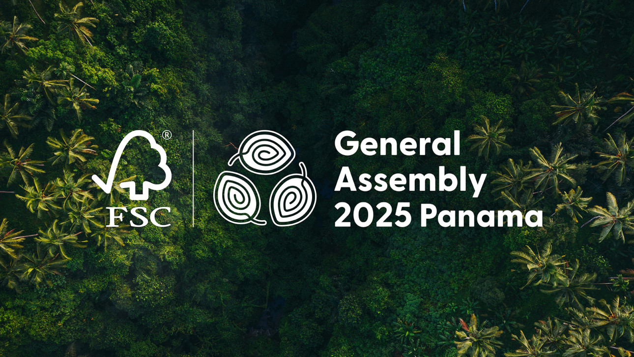 FSC20Branding20Presentation 01 1