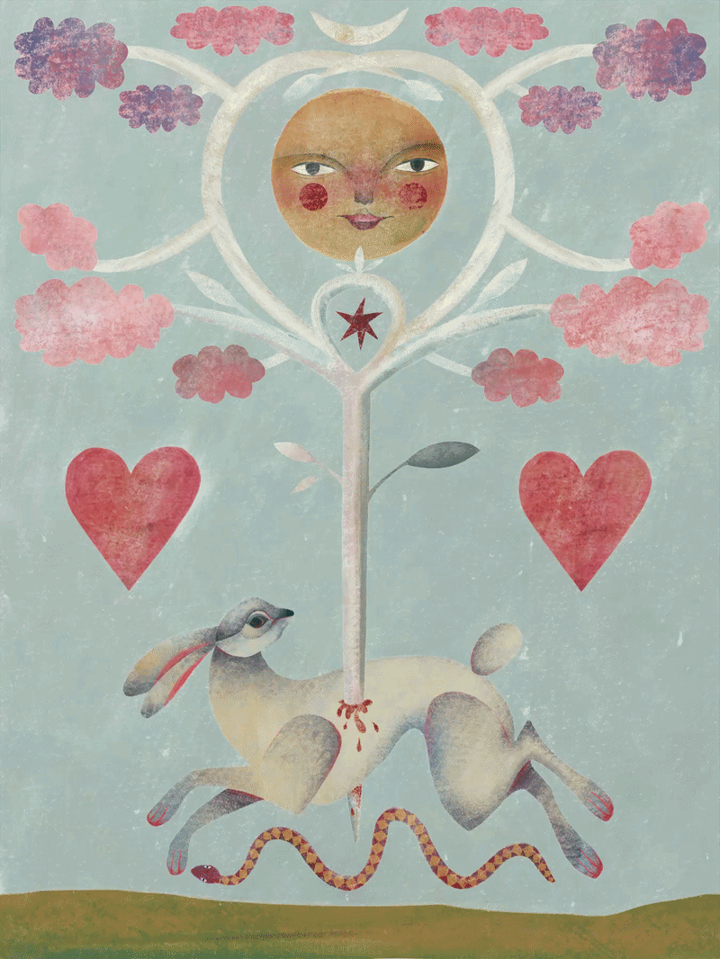 rabbit animated